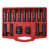 Sealey SX098 Impact Hex, TRX-Star* & TRX-Star* Female Socket Bit Set 3/4" & 1"Sq Drive 16pc