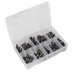 Sealey TCFT100AS Fir Tree Clip Assortment - Pack of 100