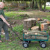 Draper 58552 Steel Mesh Garden Cart, 200kg
