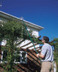 Draper 33855 Tree Pruner with Telescopic Handle