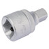 Elora 770-S9 Socket Converter, 3/4"(F) x 1/2"(M)