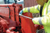 Elora 770-S7 Tommy Bar Handle, 500mm