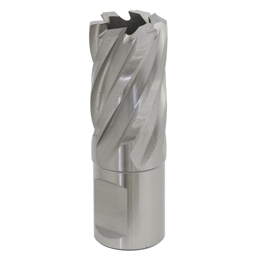 Sealey RBHSS20S Worksafe 20mm HSS Mag Drill Bit Cut Depth 25mm