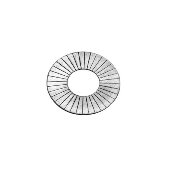 Manley Valve Spring Shims 1.625In X  .030In 03273-50