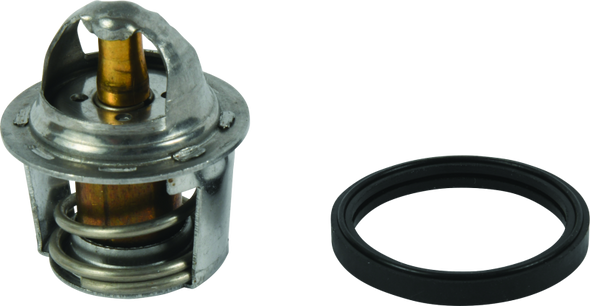 QuadBoss 14-16 Polaris ACE 325 Thermostat 401392