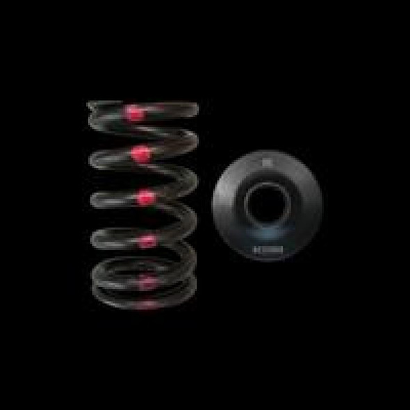 Brian Crower Nissan SR20DE/DET Single Spring & Steel Retainer Kit BC0200S