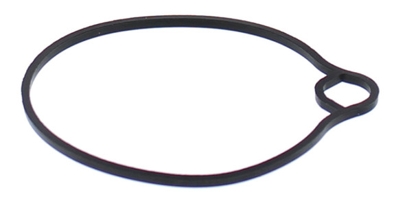 All Balls Racing 2008 Arctic Cat 50 2x4 Float Bowl Gasket Only 46-5022