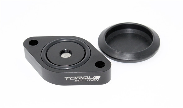 Torque Solution Sound Symposer Delete 2013+ Ford Focus ST TS-ST-511