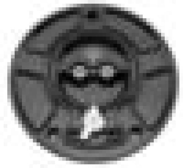 Vortex Racing V3 Fuel Cap Kawasaki- Black GC420K
