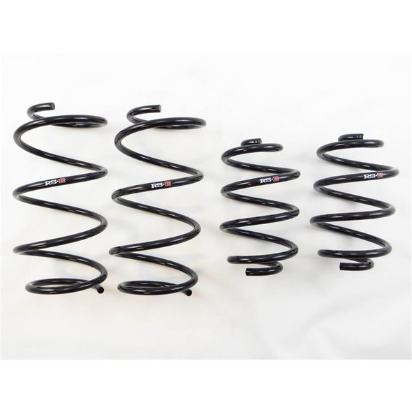 RS-R 13+ Nissan Sentra (TB17 (B17)) Down Sus Springs N205D