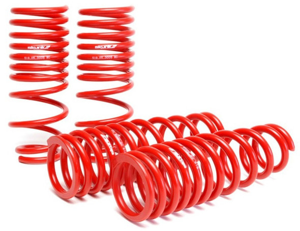 Skunk2 96-00 Honda Civic Lowering Springs (2.50in - 2.25in.) (Set of 4) 519-05-1550