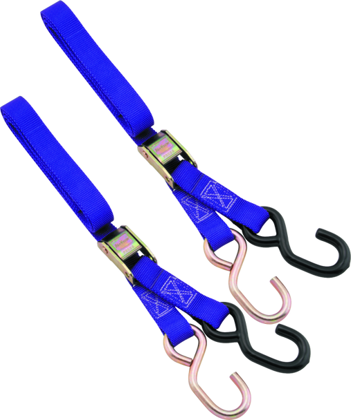 BikeMaster 1in Tiedown - Purple 100512