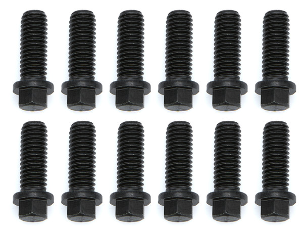 Trans-Dapt Header Bolts  4904