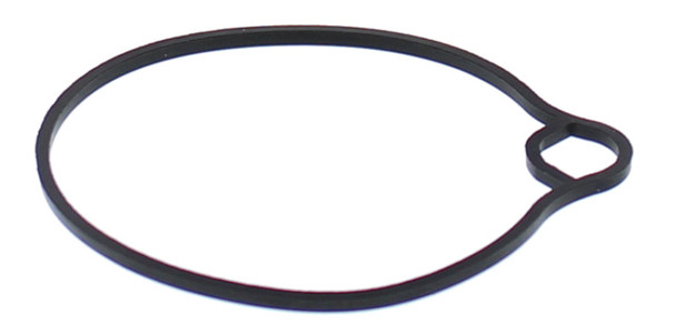 All Balls Racing 2008 Arctic Cat 50 2x4 Float Bowl Gasket Only 46-5022