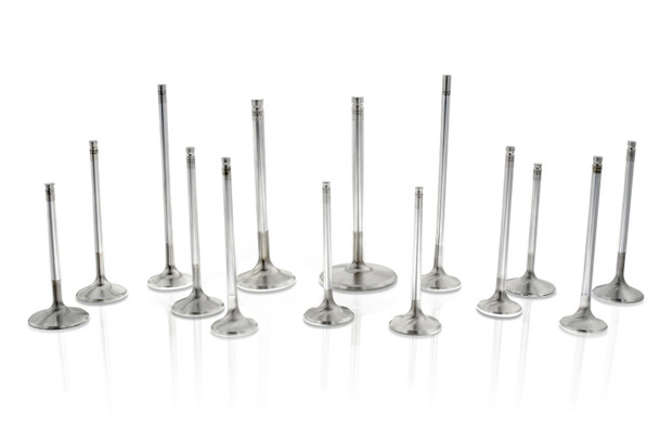 Ferrea Nissan VQ35 6mm Viton Hi-Temp Exhaust Valve Stem Seal - Set of 12 VS1012