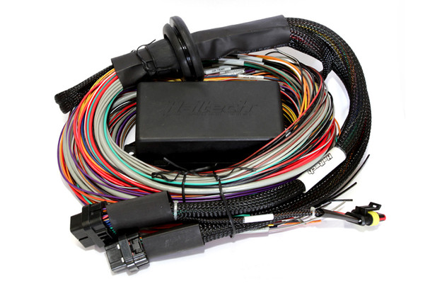 Haltech Elite 2500 & 2500 T 8ft Premium Universal Wire-In Harness HT-141304