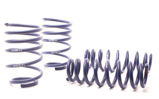 H&R 07-11 BMW 328i Sedan/335i Sedan E90 Race Spring 50490-88