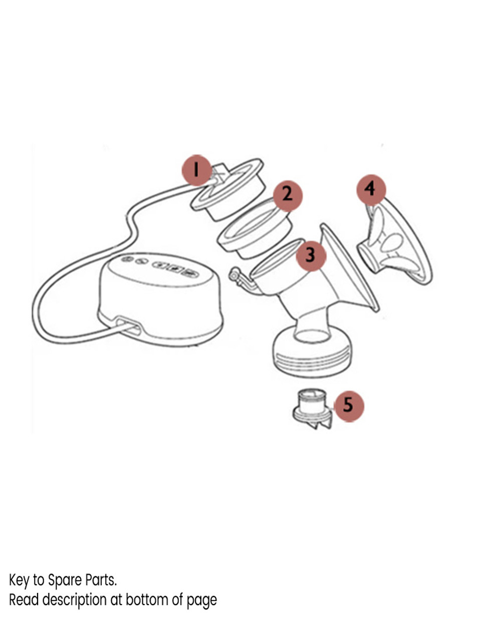 Philips avent electric breast sales pump parts