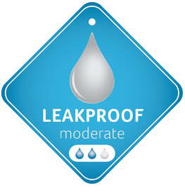 Hotmilk Embrace Leakproof Bra