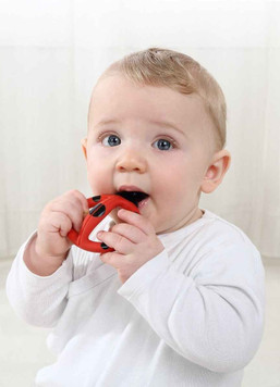 Baby U-shape Teething Toothbrush 3m+ Baby U-shape Teething Toothbrush 3m+