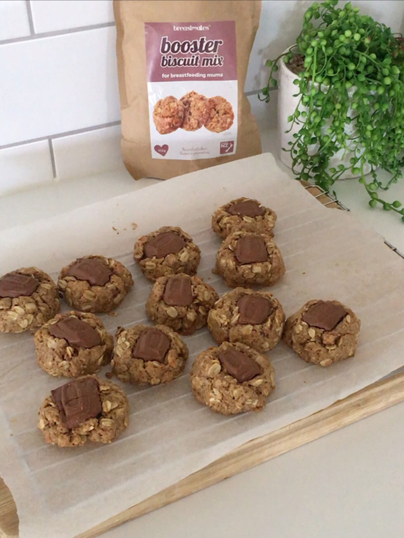 Booster Biscuit Premix by Breastmates