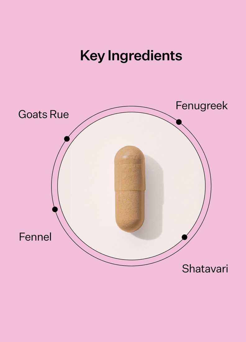 Milk Maker by Two Islands