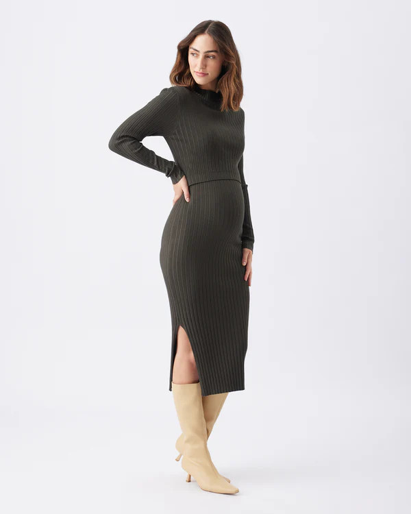 Nella Rib Nursing Knit Dress - Ivy