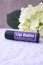 Luscious Lavender Lip Balm with Vitamin E