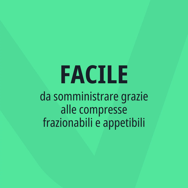 IT_Anxitane_Unity-visual_6_2026.jpg