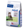 Adult Salmon Neutered e Entire cat