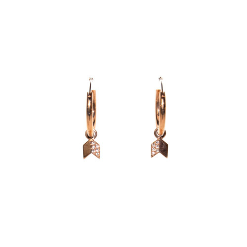 Fossil Earrings Base Metal With Zircon : FSL120ACC00341 : Momento