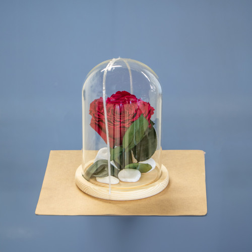 Preserve Rose And Leaves Arrangements In Glass Dome : ARBOU0032 : Plaza Hollandi
