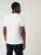 Pure Cotton Crew Neck T-Shirt : 5380M : Marks and Spencer