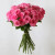 35 Stems Of Pink Roses : ARBOU0003 : Plaza Hollandi