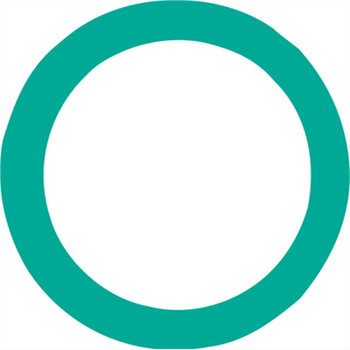 FJC O RING 1 PACK OF 10