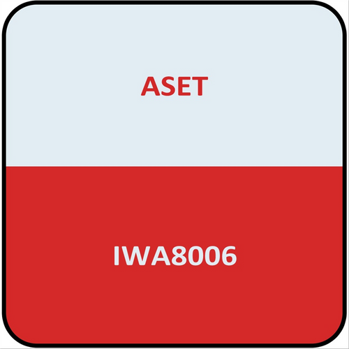 Iwata Phn6 - 6 ft. Nylon