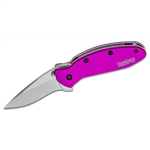 Kershaw Scallion Assisted Open Inset Liner Lock Drop Point Blade EDC Folding Pocket Knife - Purple