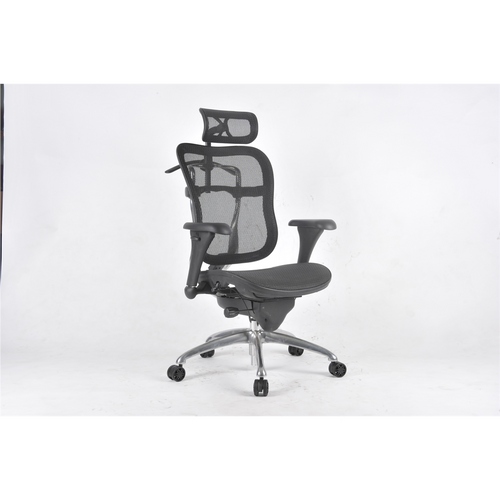 ShopSol Executive Chair - Mesh seat/back