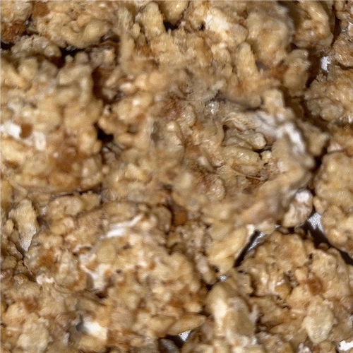 Tender Heifer Snack Co. Cookie Butter Rice Crispy Treats - 5oz