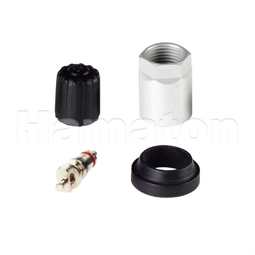 Hamaton Box Of 10 6-102 Service Kits for Schrader Gen J Type Sensors