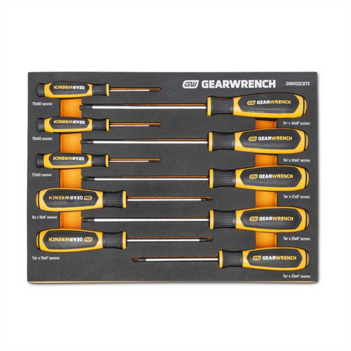 GearWrench 10 Piece Torx&reg; Dual Material Screwdriver Set in Foam Storage Tray