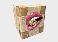 Stop Wasting Ammo! Here’s Why .223 FMJ Is Perfect for Practice