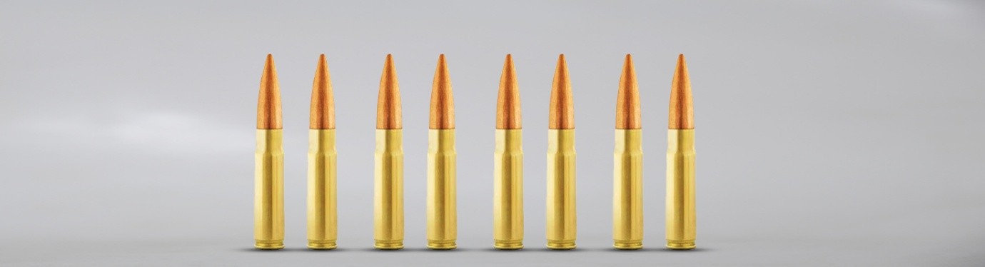 How the 220‑gr Load Shapes Subsonic Ballistics
