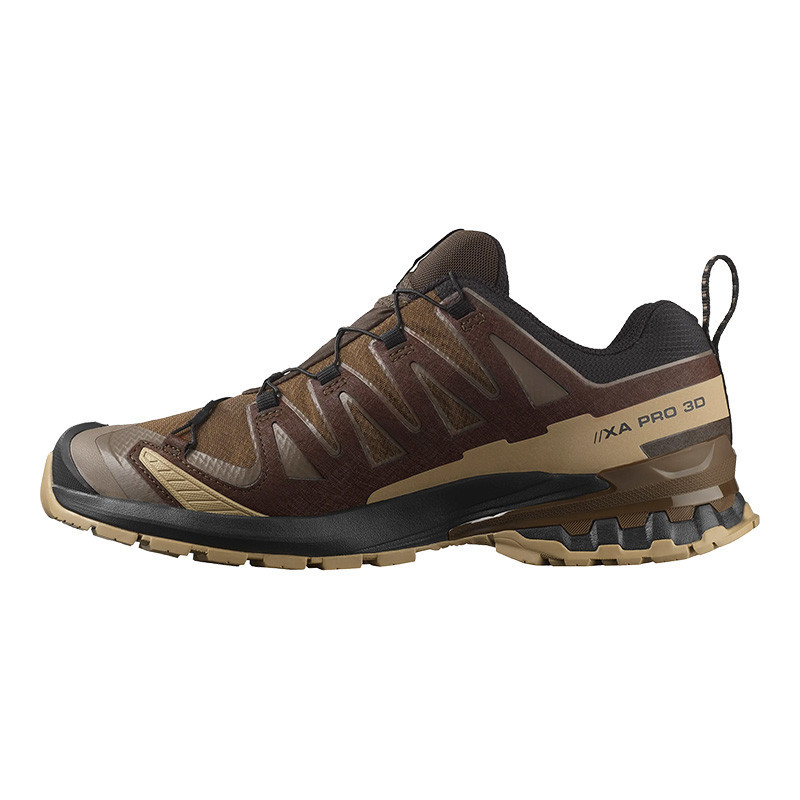 Salomon Men's XA Pro 3D V9 GTX