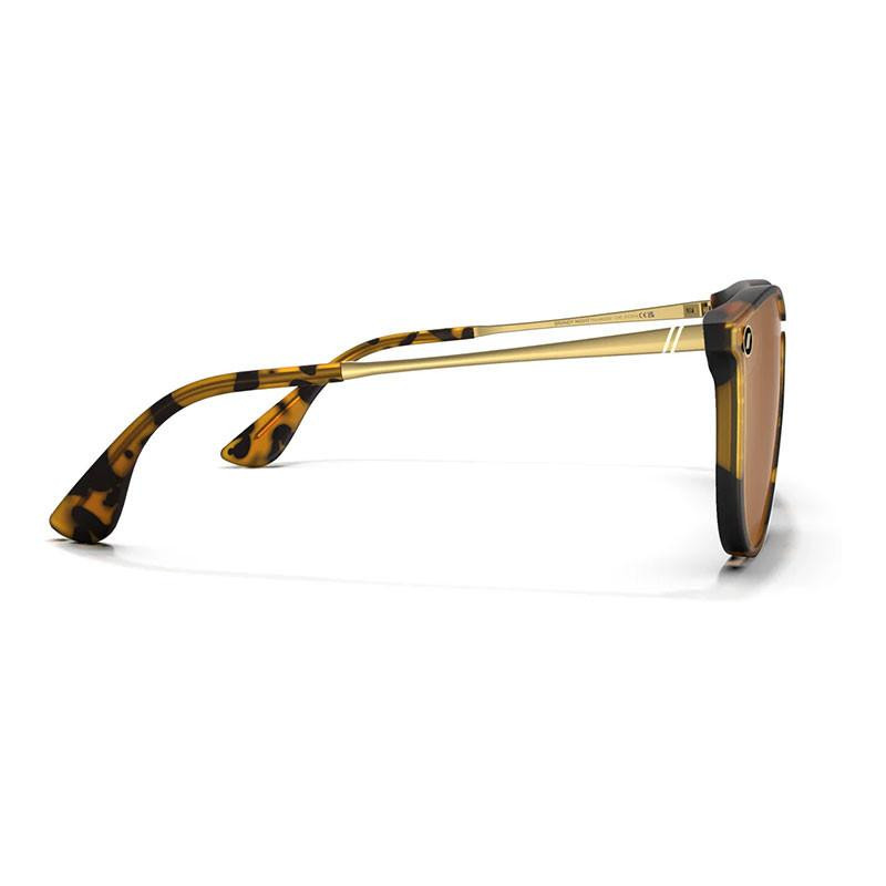 Blenders Eyewear North Park X2