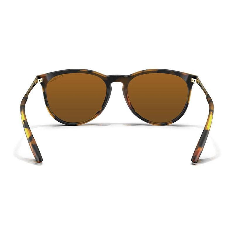 Blenders Eyewear North Park X2