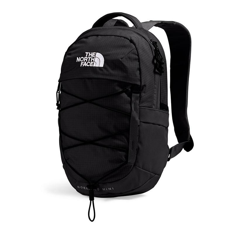 The North Face Borealis Mini Backpack