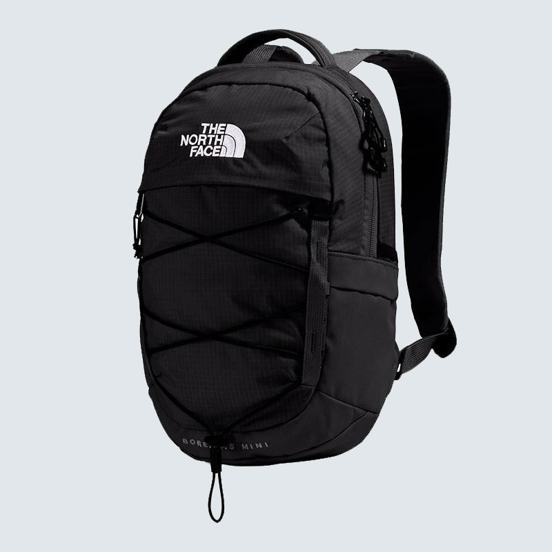 The North Face Borealis Mini Backpack