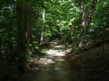 The 12 Best Spring Hikes in Birmingham