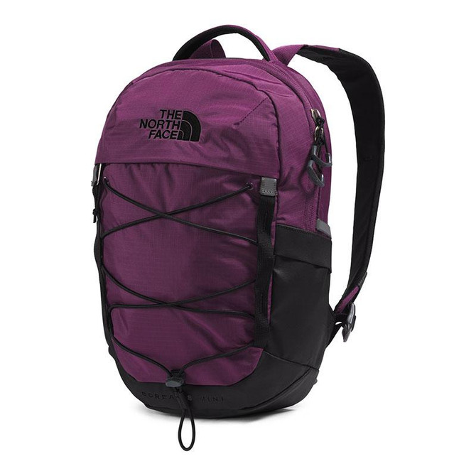 maru　THE NORTH FACE MINI BACKPACK The North Face Borealis Mini Backpack - Alabama Outdoors
